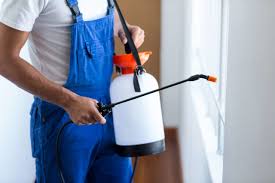 Best Fumigation Services  in Flourtown, PA